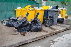 Rubbish Removal Services in Pimlico